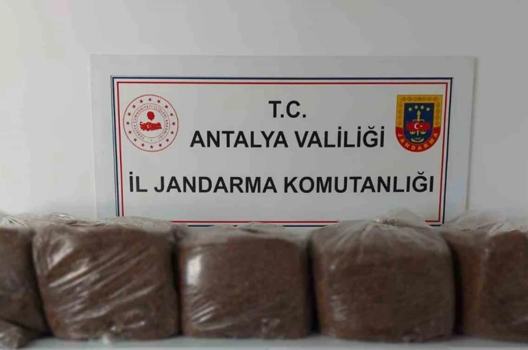 Alanya ve Demre’de 285 kilo kaçak tütün ele geçirildi