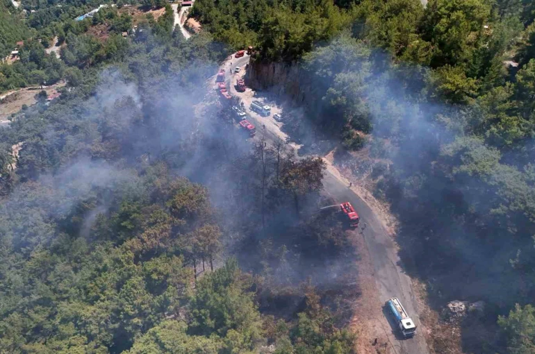 Alanya’da orman yangını 3 saatte kontrol altına alındı