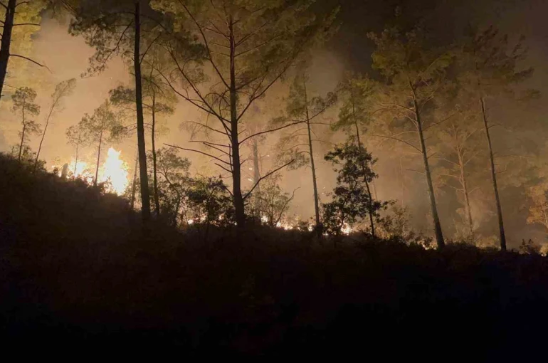 Alanya’da ormanlık alandaki yangın 