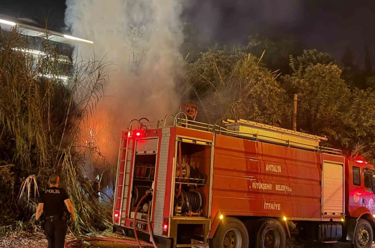 Alanya’da sazlık alanda yangın