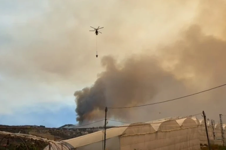 Alanya’daki orman yangını yeniden alevlendi 