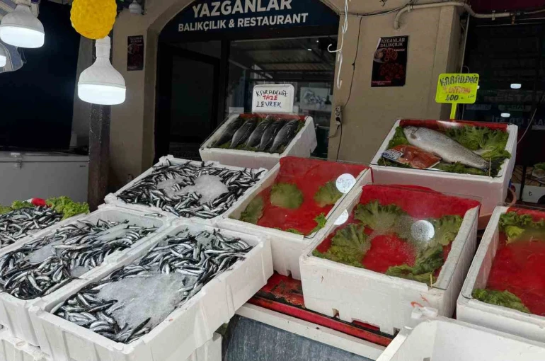 Alaplı’da balık tezgâhları boş kaldı