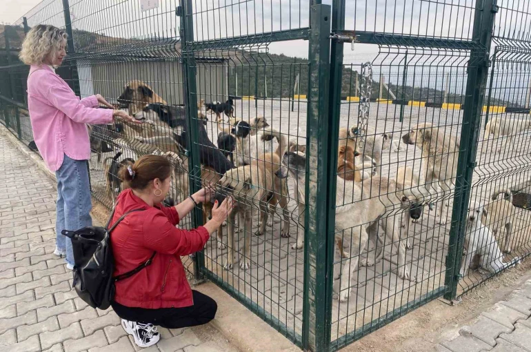 Alaşehir’de 30 dönümlük doğal yaşam alanı açıldı
