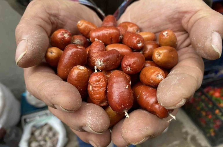 Alaşehir’de iğde ağaçlarının sayısı her geçen gün azalıyor