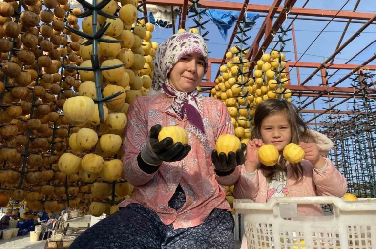 Alaşehir’de ilk kez ’Cennet Hurması Festivali’ düzenlenecek 