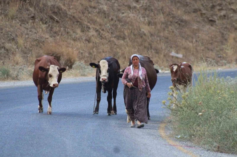 Alevlerden kaçtılar, hayvanlarını ve kendi canlarını zor kurtardılar