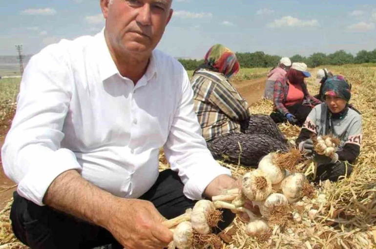 Altun’dan tarım mesajı 