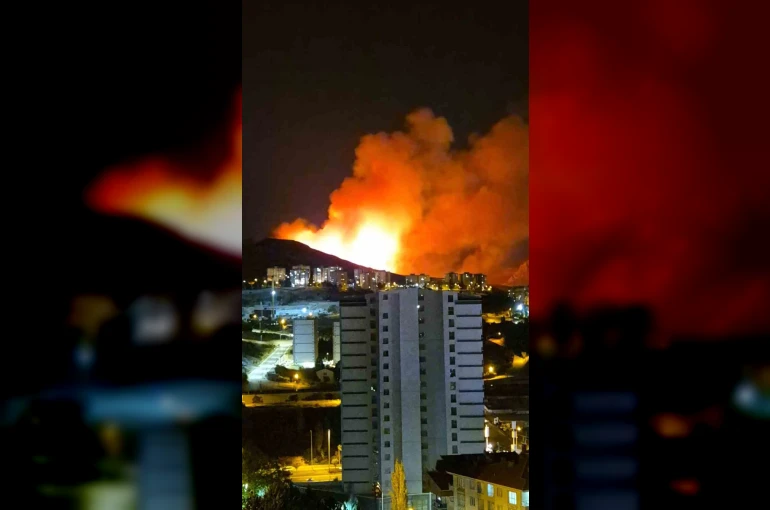 Ankara’da ağaçlık alanda yangın