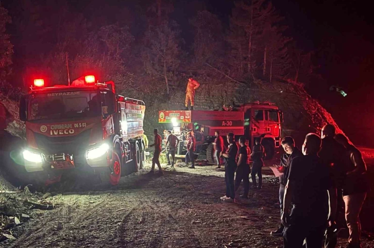 Ankara’da çıkan orman yangını kontrol altına alındı