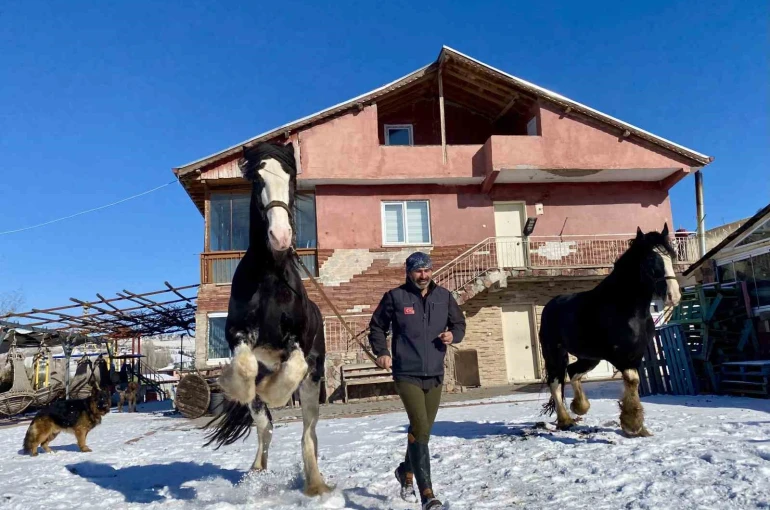 Ankara’da sıra dışı yaşam: Onlarca hayvanla ortak hayat kurdu