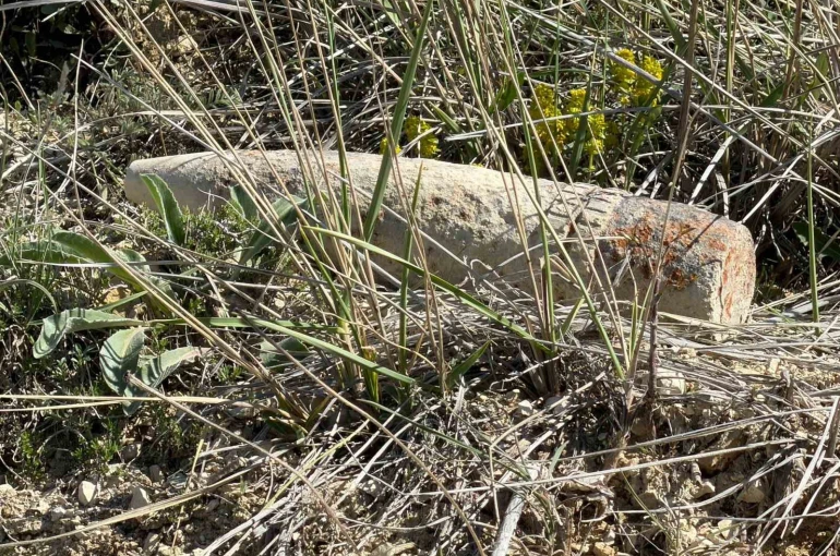 Ankara’da vatandaş mantar ararken patlamamış top mermisi buldu 