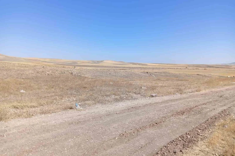 Ankara’daki bacanak cinayetinde 10 yıllık husumet iddiası