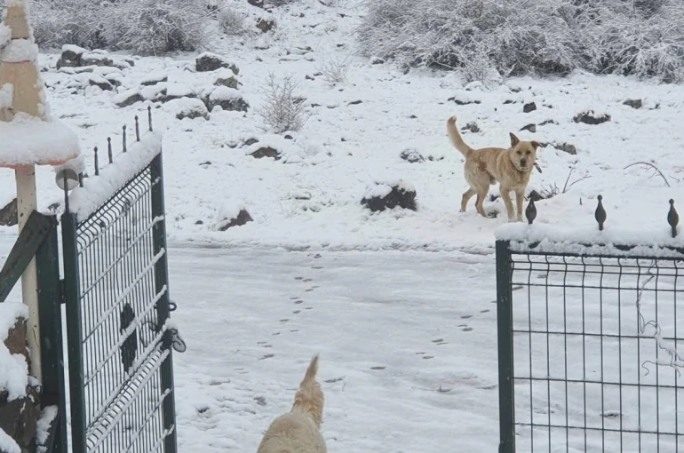 Ankara’ya nisan ayında kar yağdı 