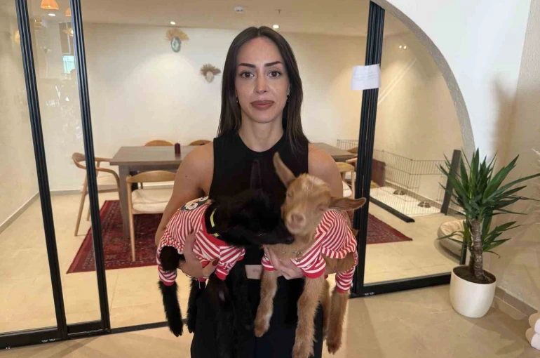 Anneleri ölen oğlakları sahiplendi, işlettiği kafede bakmaya başladı