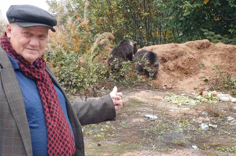 Annelerini kaybeden yavru ayılar, ilçenin maskotu oldu 