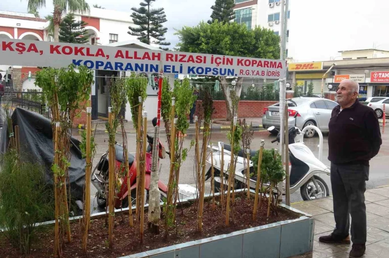 Annesinin çok sevdiği çiçeği, iş yerinin önünde mezarı andıran alanda 40 yıldır yaşatıyor 