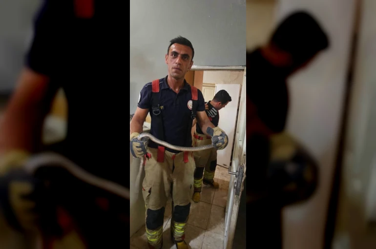 Antakya’da evlere giren yılanlar yakalandı 