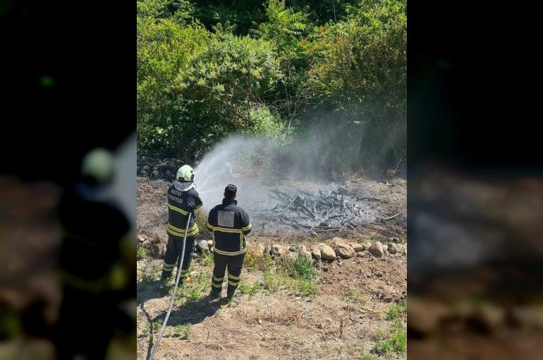 Antakya’da zeytinlik alan yangını