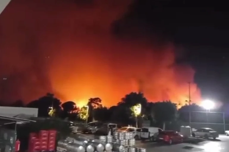 Antalya Aksu’da ormanlık alanda yangın