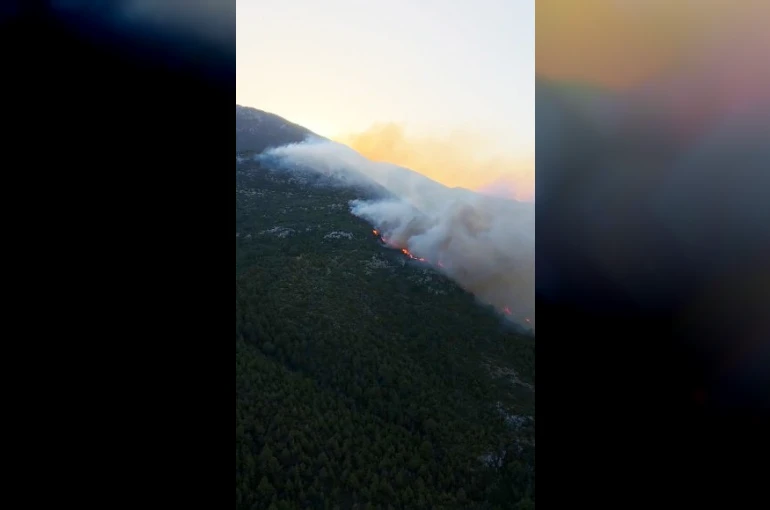 Antalya Kaş’ta orman yangını 
