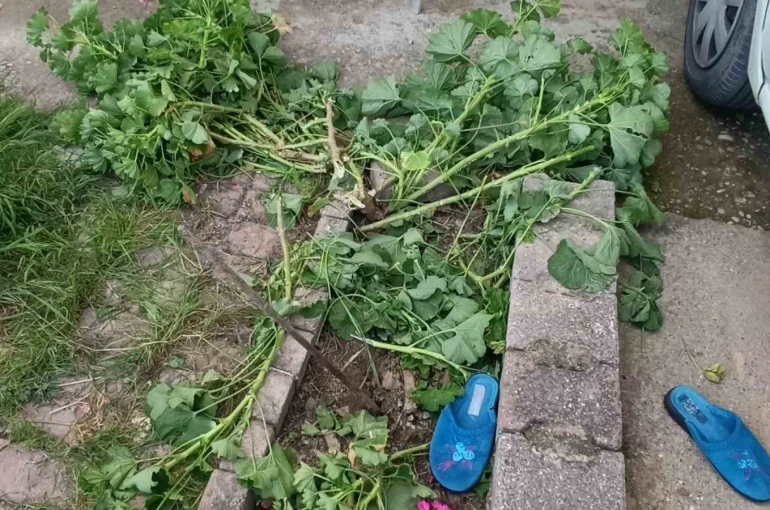 Antalya’da küçük çocuk ikinci kattan düştü, olayı kırıklarla atlattı 