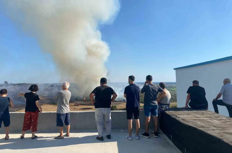 Antalya’da makilik alanda çıkan yangın zeytin ağaçlarına zarar verdi 