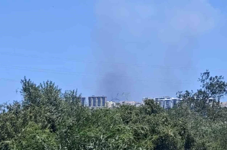 Antalya’da ormanlık alanda yangın 