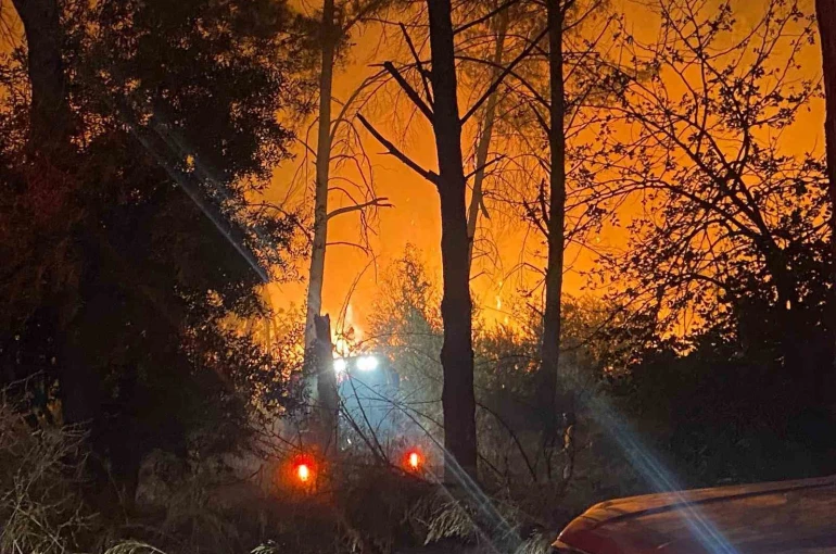 Antalya’da ormanlık alanda yangın 