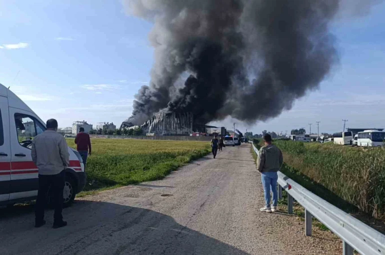 Antalya’da patates üretim tesisinde yangın 