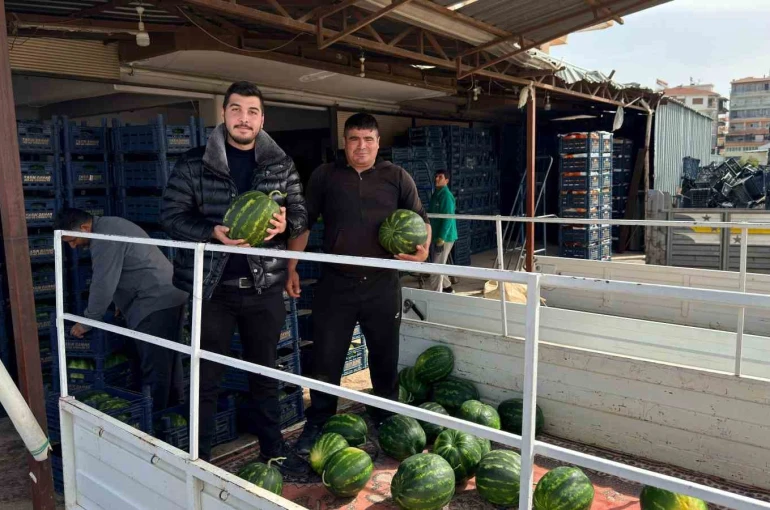 Antalya’da sezonun ilk karpuz hasadı yapıldı 
