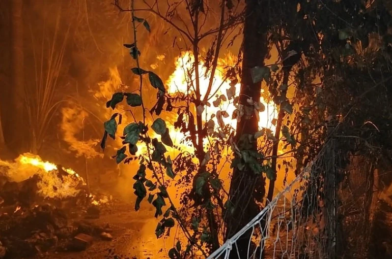 Antalya’da yerleşim yerine yakın sazlık alanda yangın paniği 