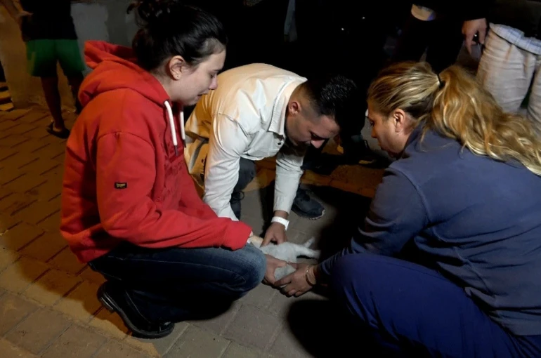 Antalya’daki yangında 2 kedi telef oldu, sahipleri gözyaşlarına boğuldu 