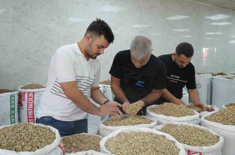 Antep fıstığına ithalat izni çıkıcınca fiyatlar ve satışlar düştü