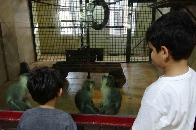 Ara tatile çıkan öğrenciler soluğu hayvanat bahçesinde aldı 