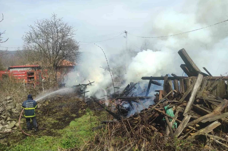 Araç yangını odunluğa sıçradı 