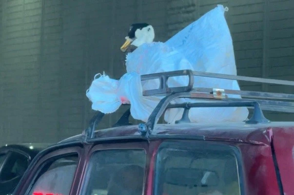 Aracın üzerindeki kazın ilginç yolculuğu kameraya yansıdı 