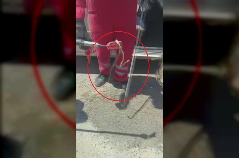 Aracına binerken fark ettiği yılanı itfaiye ekipleri yakaladı