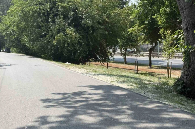 Aracında silahla vurulmuş halde ölü bulundu