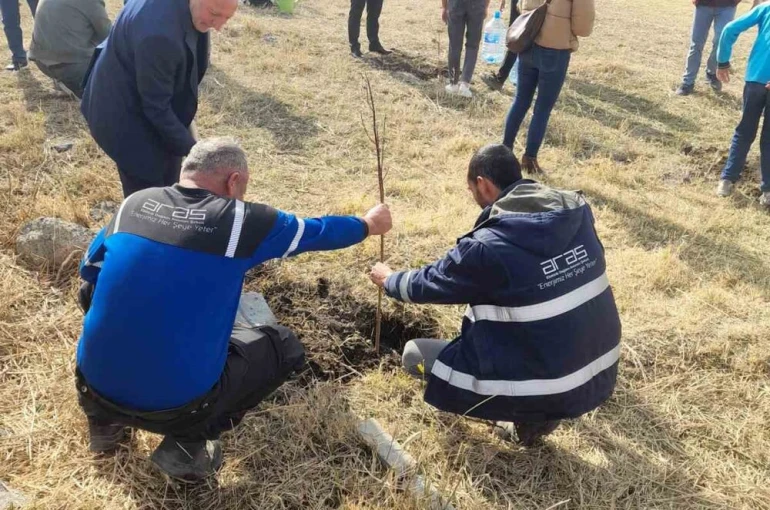 Aras EDAŞ, Milli Ağaçlandırma Günü’nde geleceğe nefes oldu 
