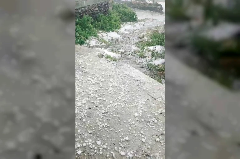 Ardahan’da dolu yağışı etkili oldu