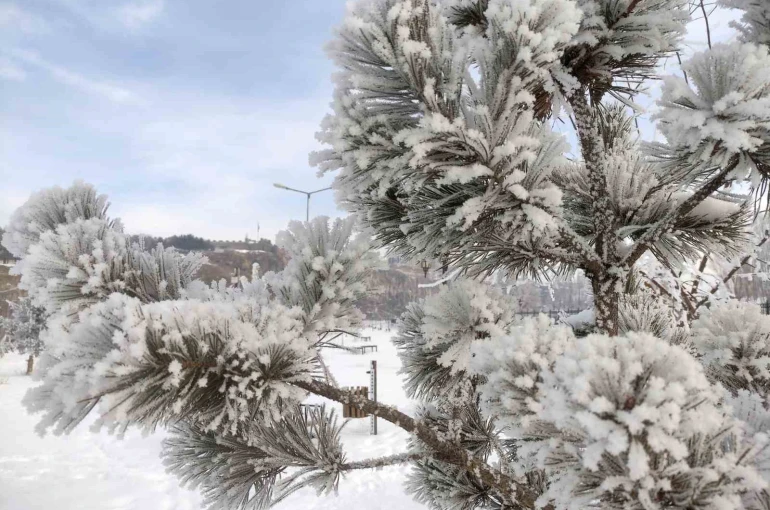 Ardahan’da dondurucu soğuklar etkili oldu 