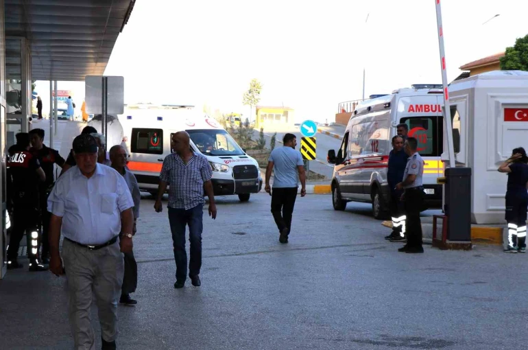 Arı sokmasına bağlı ciddi alerjik reaksiyonlar ölüme sebep olabilir