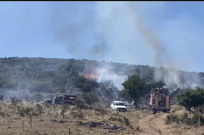 Arıcının tütsüsü ormanı yaktı 