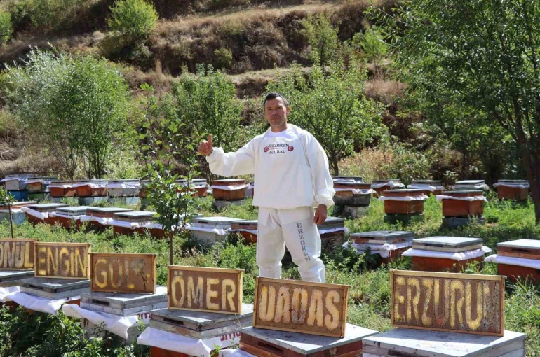 Arılarına yazmayı öğretti