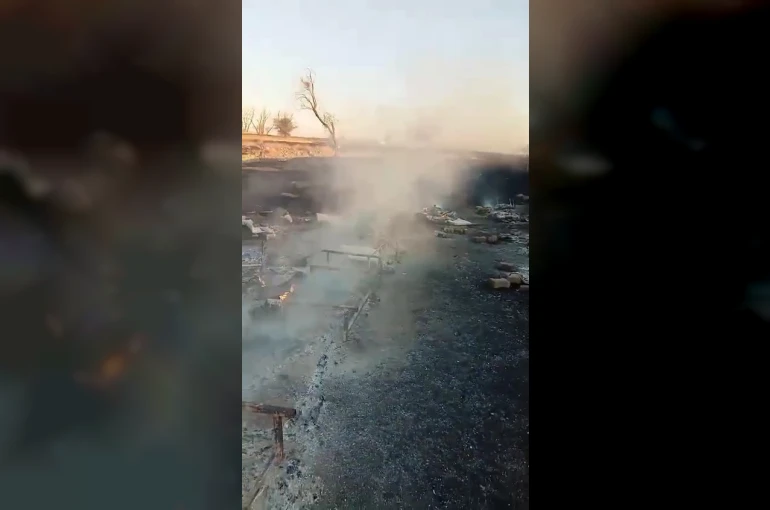 Arılıkta çıkan yangında çok sayıda arı telef oldu 