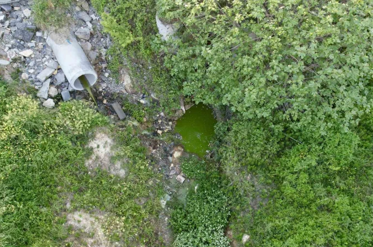 Arnavutköy’de dereden akan yeşil su mahalleliyi tedirgin etti 