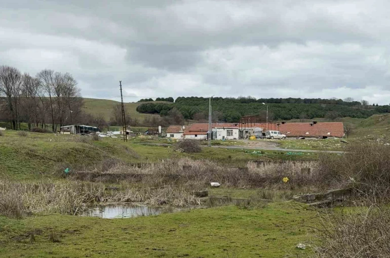 Arnavutköy’de elektrikli testereli saldırı: Çiftlik evinde dehşet 