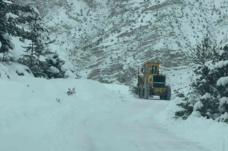 Artvin’de 6 ilçede 43 köy yolunda kar nedeniyle ulaşım sağlanamıyor 