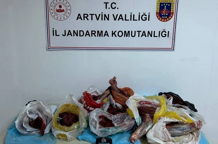 Artvin’de 60 kilo yaban domuzu eti ele geçirildi 