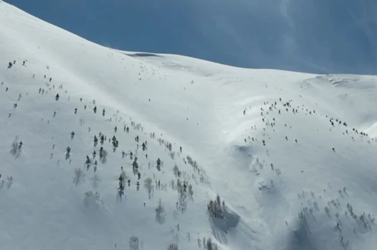 Artvin’de çığ faciası: Kayıp kişi için çalışmalar 86 gündür sürüyor 